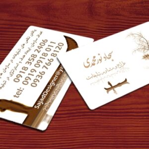 کارت ویزیت pvc - داتکو - 3609