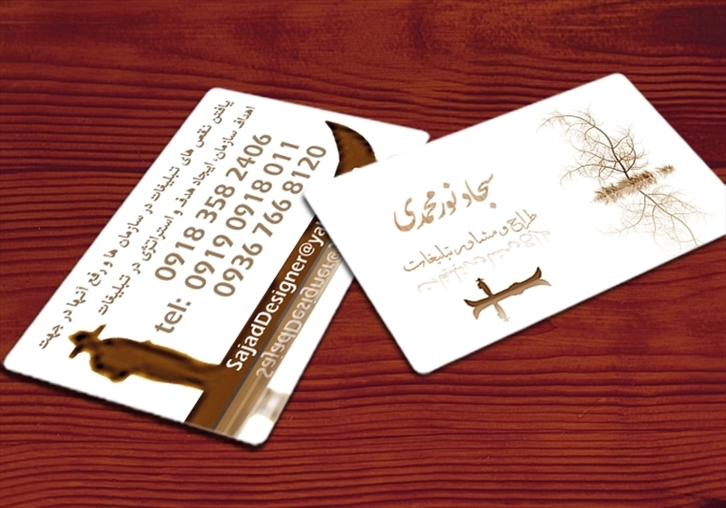 کارت ویزیت pvc - داتکو - 3609