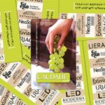 کارت ویزیت pvc - داتکو - 3611