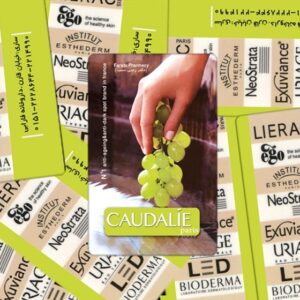 کارت ویزیت pvc - داتکو - 3611