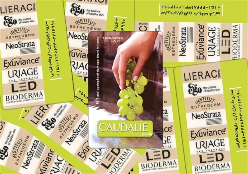 کارت ویزیت pvc - داتکو - 3611