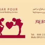 کارت ویزیت pvc - داتکو - 2063