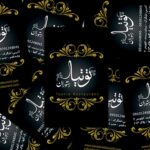 کارت ویزیت pvc - داتکو - 3652