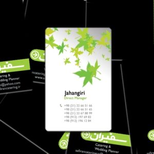 کارت ویزیت pvc - داتکو - 3674