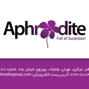 کارت ویزیت pvc - داتکو - 2075