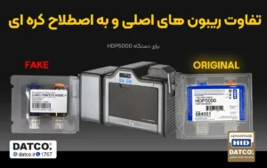 ریبون کره‌ای یا ریبون آمریکایی